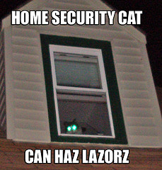 Post image for Burglar alarms and evaluating your home security needs